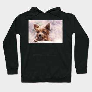 Dog Hoodie